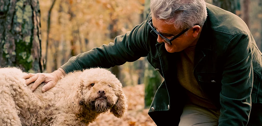 Il rapporto tra uomo e cane
