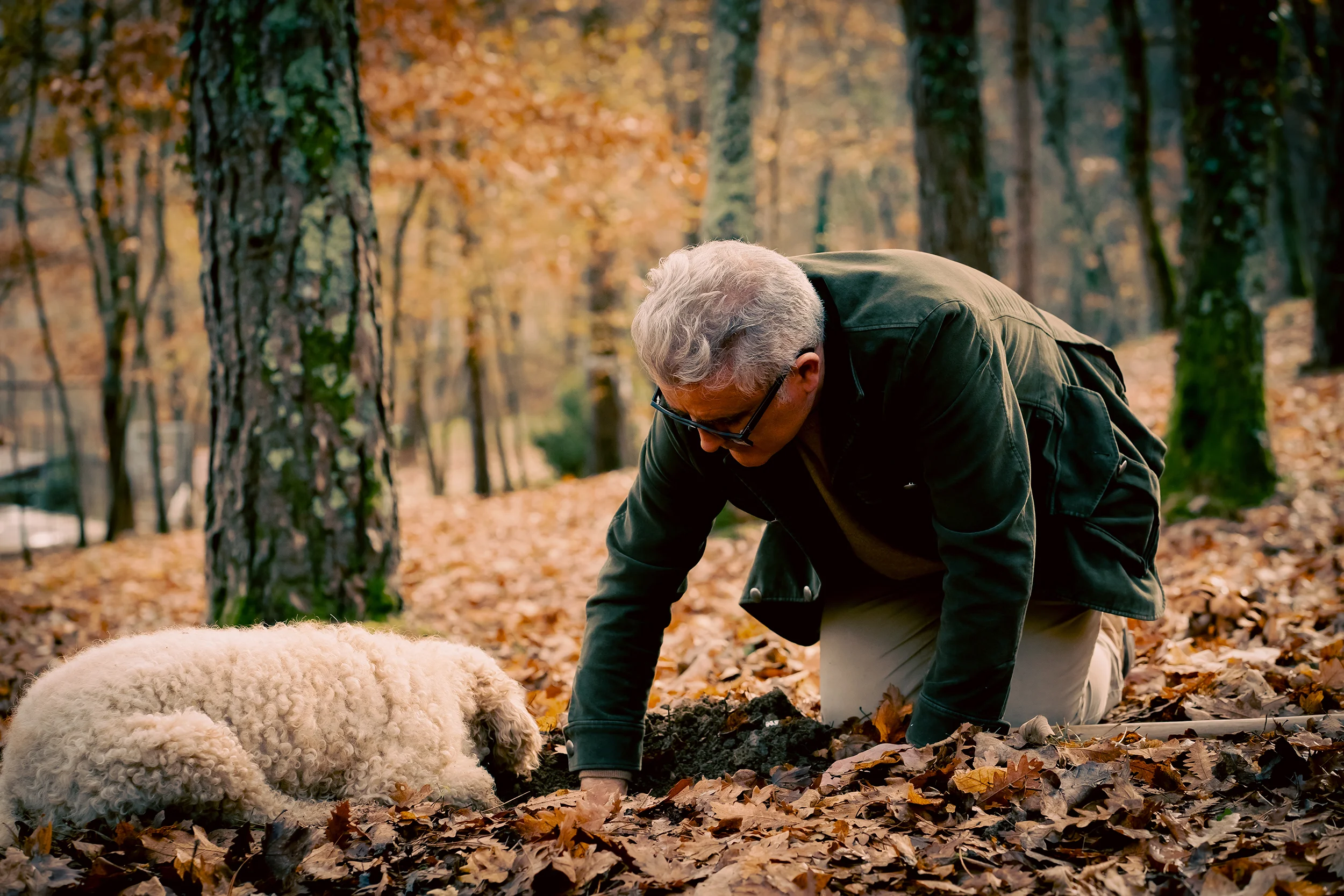 Il cercatore di tartufi per eccellenza, Giuliano Martinelli, e il suo cane durante l'estrazione di un tartufo dal terreno nel bosco.