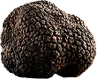 Tartufo nero
