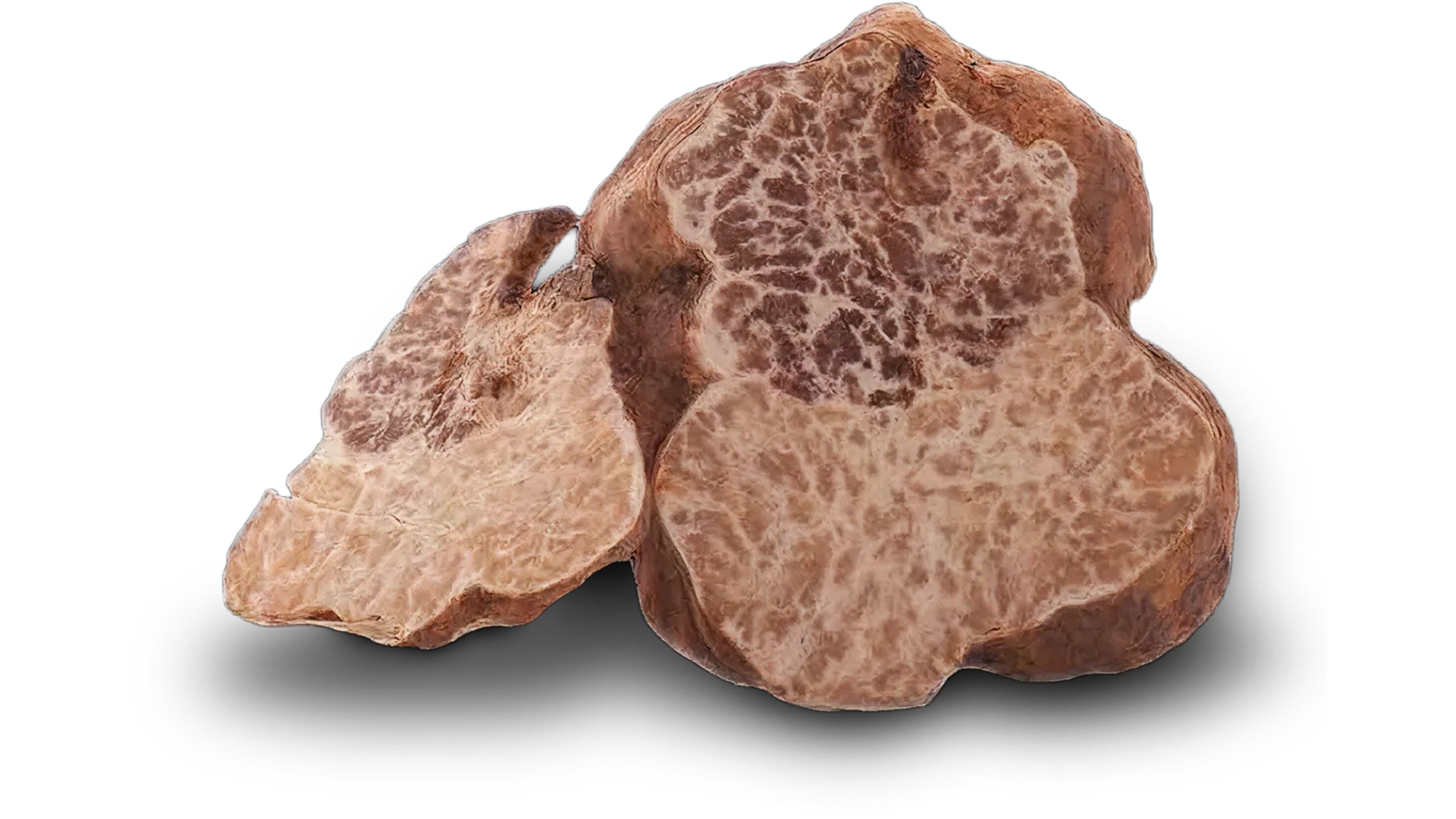 Tartufo bianchetto Tartufo bianchetto