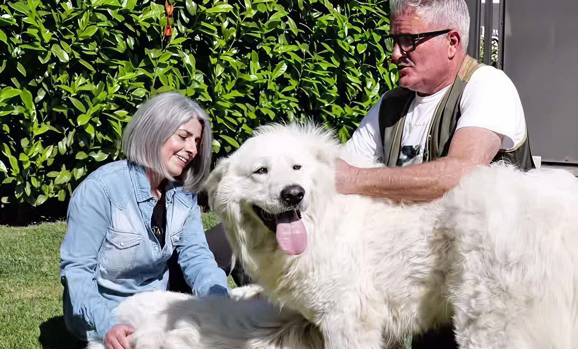 Amore per i cani, per Giuliano Tartufi è un valore di famiglia Il fondatore di Giuliano Tartufi e la sua famiglia con i loro cani, a sostegno dei progetti ENPA e delle strutture di accoglienza canine.
