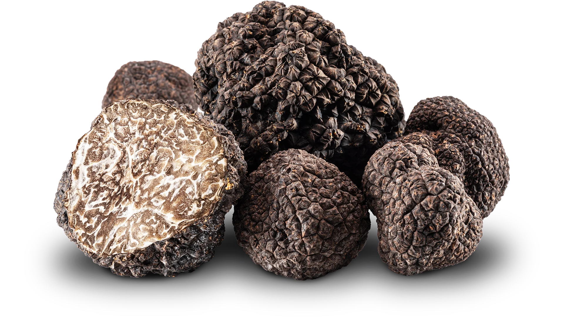 Tartufo estivo Tartufo estivo