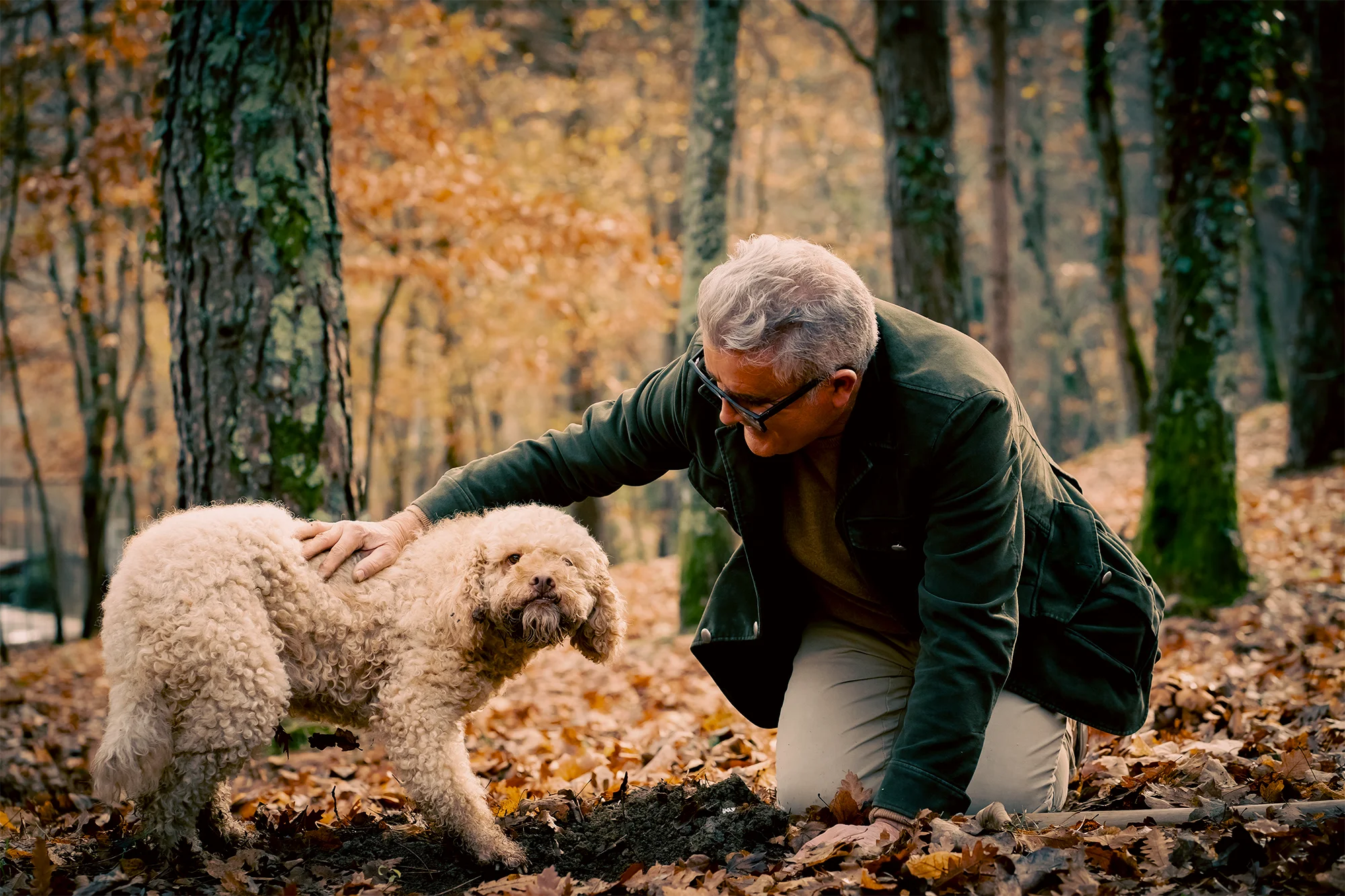 Giuliano Martinelli, fondatore di Giuliano Tartufi, accarezza con affetto il suo cane da tartufo nel bosco, simbolo di un team inseparabile.