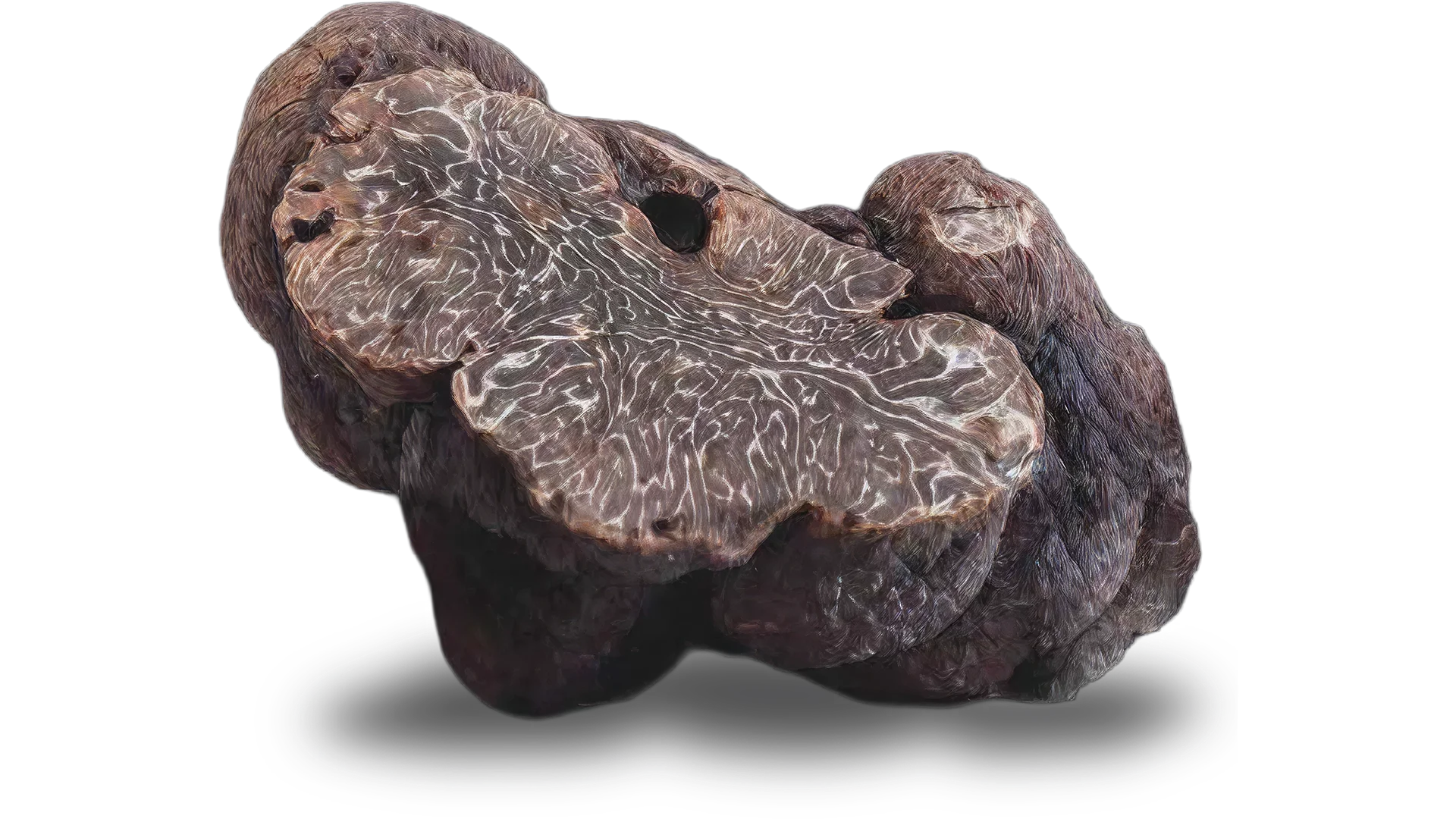 Tartufo nero Tartufo nero