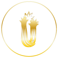 sedano